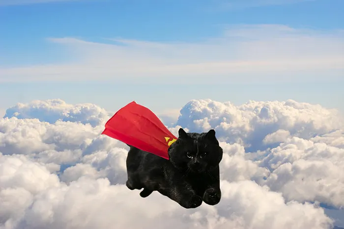 Super Kitty!