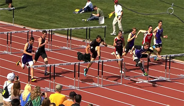 Hurdle Cat