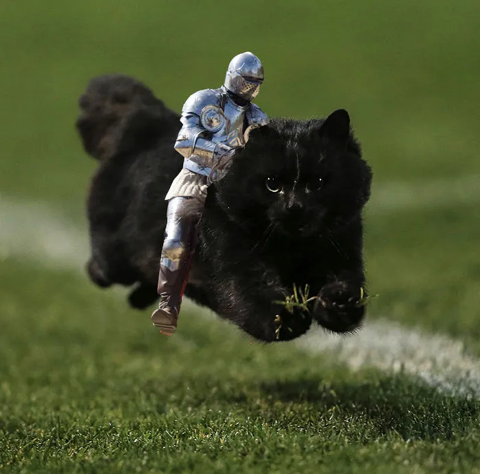 In To Battle
