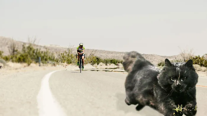 Again @ Raam (christoph Strasser @ Race Across America)