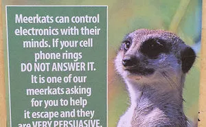 Guy Leaves Fake Animal Facts All Over Los Angeles Zoo