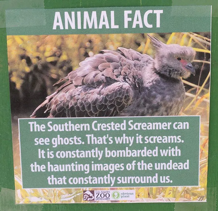 Guy Leaves Fake Animal Facts All Over Los Angeles Zoo