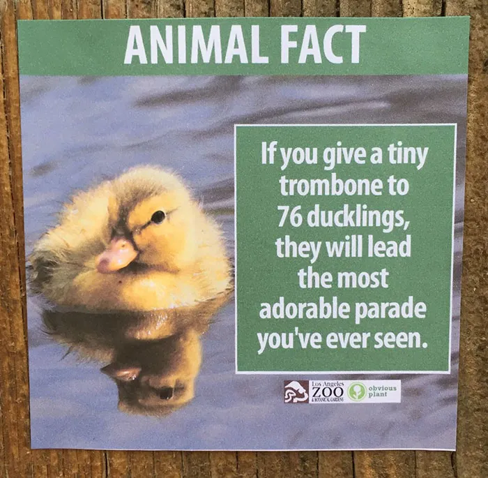 Guy Leaves Fake Animal Facts All Over Los Angeles Zoo