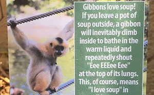 Guy Leaves Fake Animal Facts All Over Los Angeles Zoo