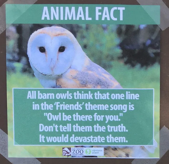 Guy Leaves Fake Animal Facts All Over Los Angeles Zoo