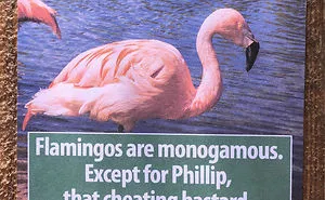 Guy Leaves Fake Animal Facts All Over Los Angeles Zoo