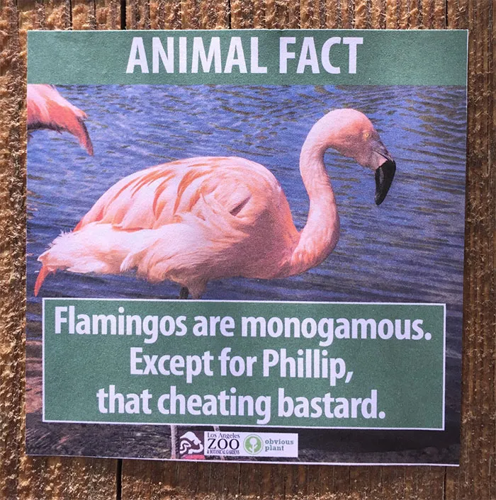 Animal Facts