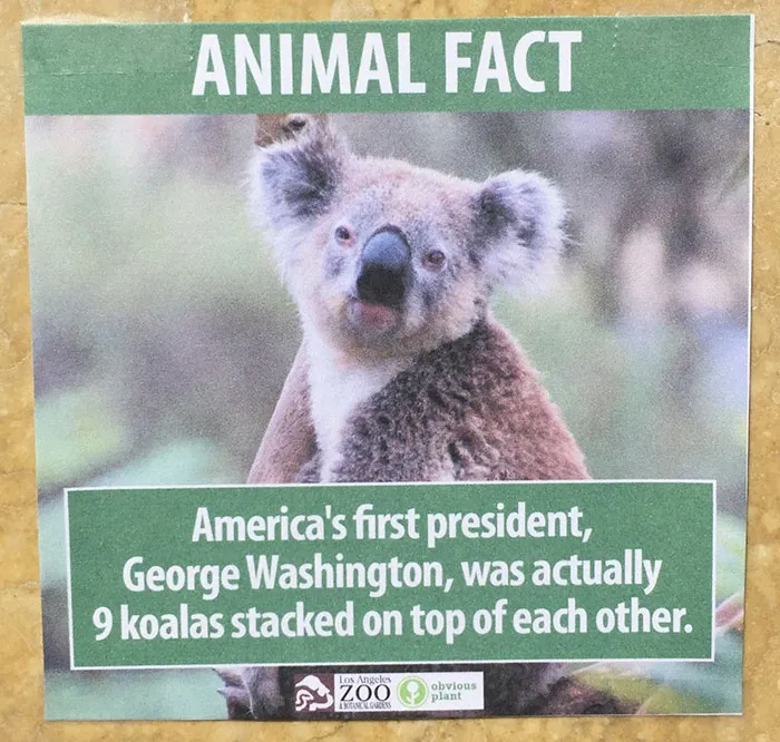 Guy Leaves Fake Animal Facts All Over Los Angeles Zoo