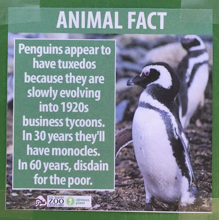 Guy Leaves Fake Animal Facts All Over Los Angeles Zoo