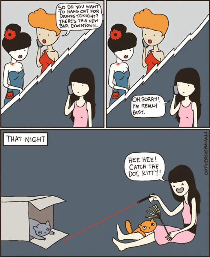 Cat Versus Human