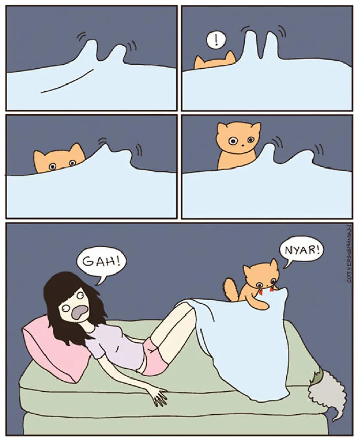113 Hilarious Comics That Perfectly Capture Life With Cats