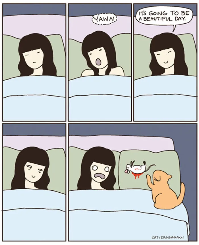 113 Hilarious Comics That Perfectly Capture Life With Cats