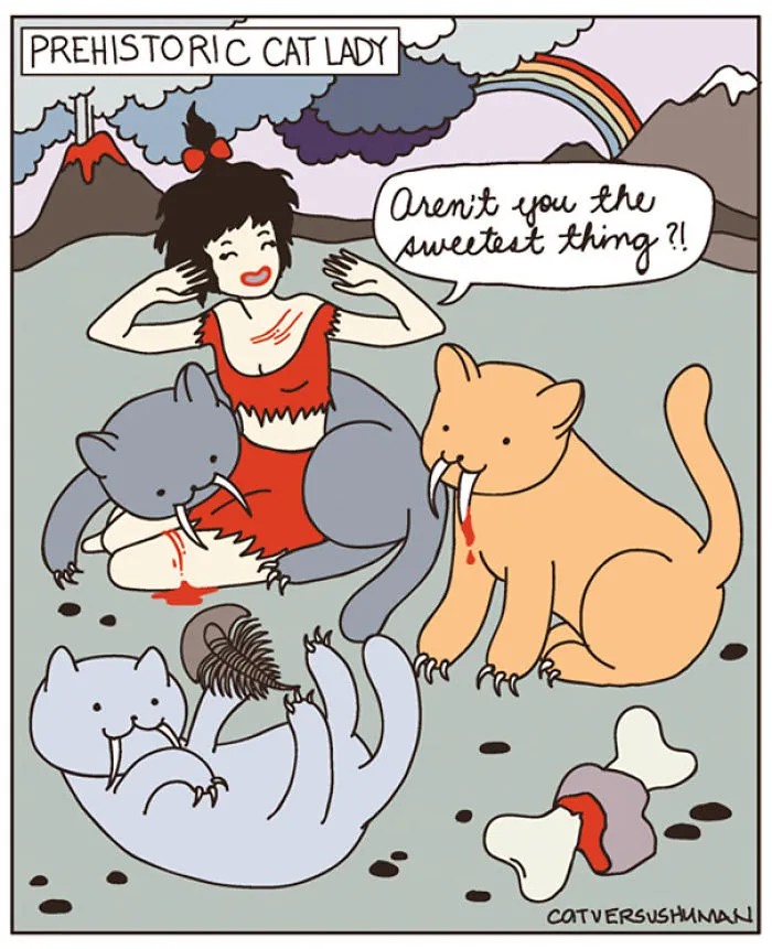 Cat Versus Human