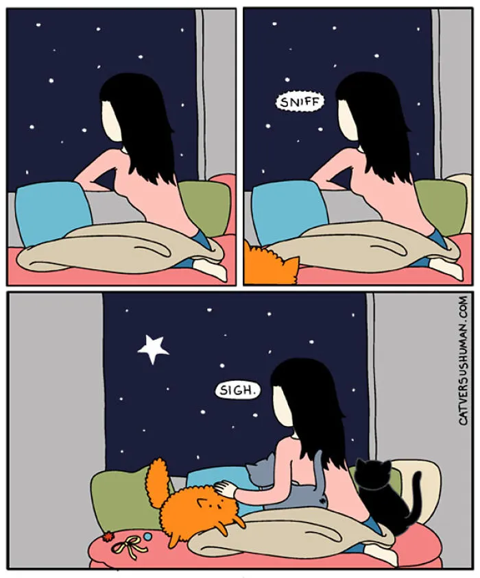 Cat Versus Human