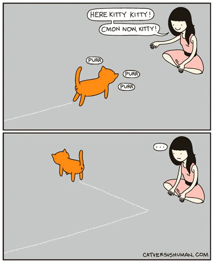 113 Hilarious Comics That Perfectly Capture Life With Cats