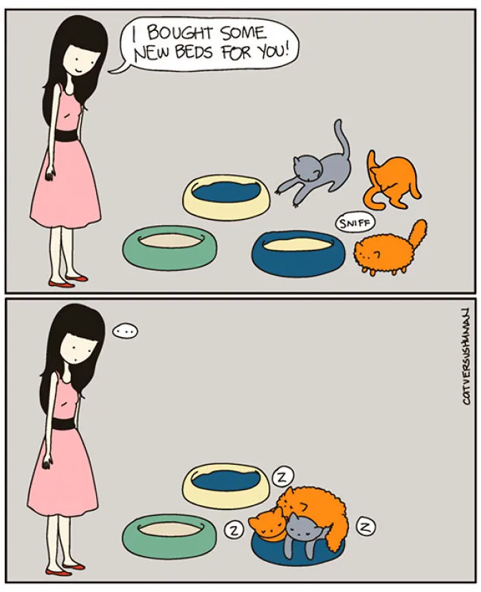 113 Hilarious Comics That Perfectly Capture Life With Cats