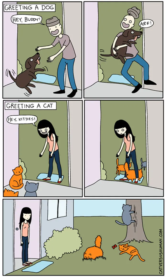 113 Hilarious Comics That Perfectly Capture Life With Cats