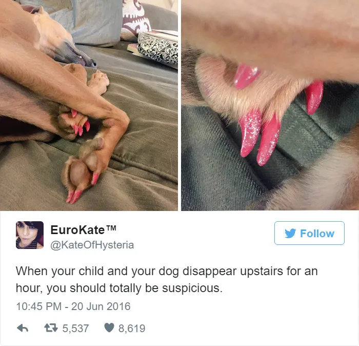 Funny Kids Tweets