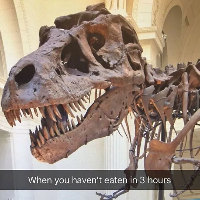 101 Museum Snapchats That'll Make Art History Fun Again