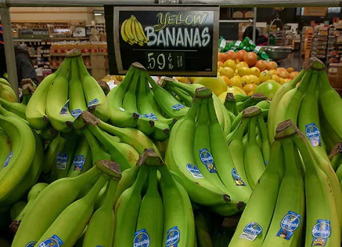 By Yellow You Mean Green, Right