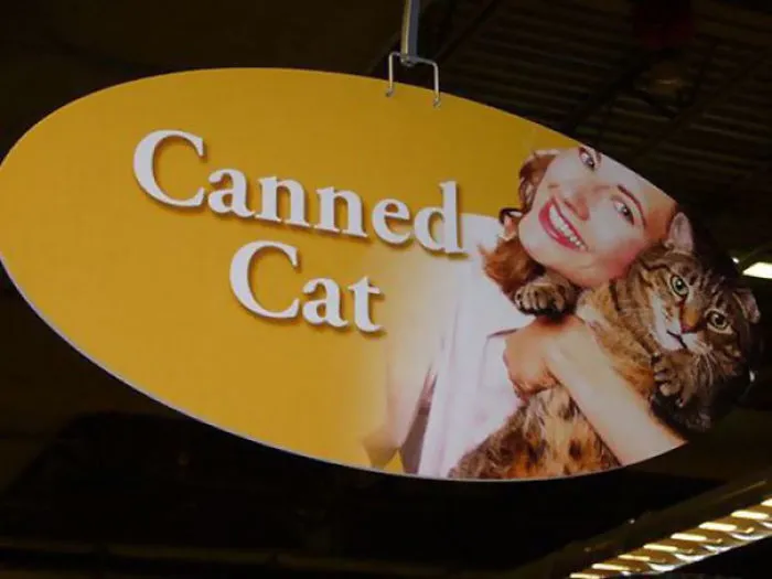 Cat's Face Says It All