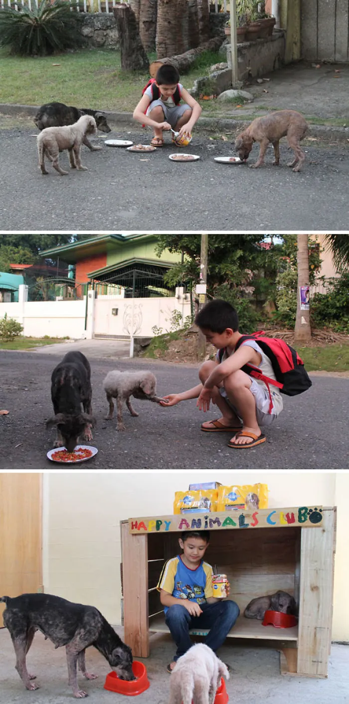 9-Year-Old Boy Created A No-Kill Animal Shelter In His Garage