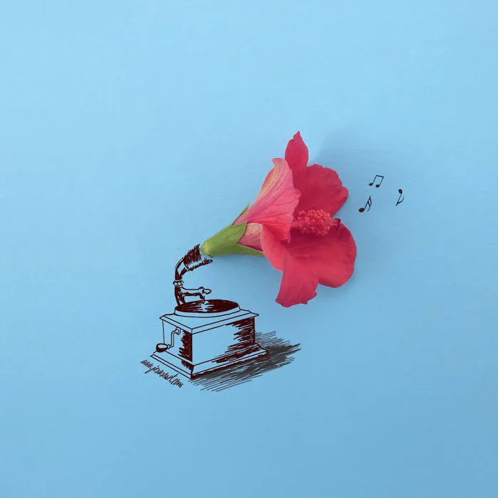 I Turn Flowers & Everyday Objects Into Art