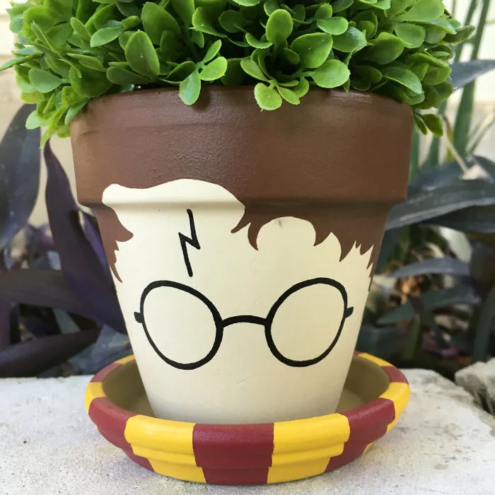 Harry Potter Flower Pot