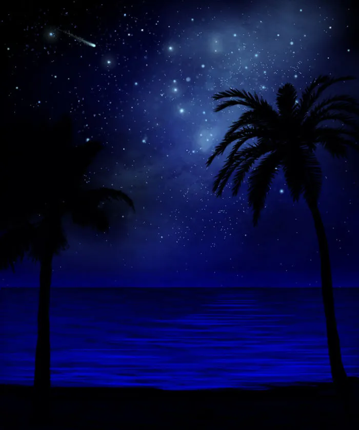 I Painted "hawaiian Dreams" ~ A Glow-in-the-dark Canvas Wall Mural