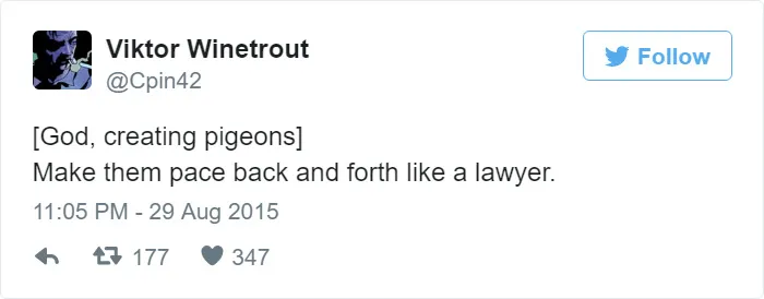 How Pigeons Were Created