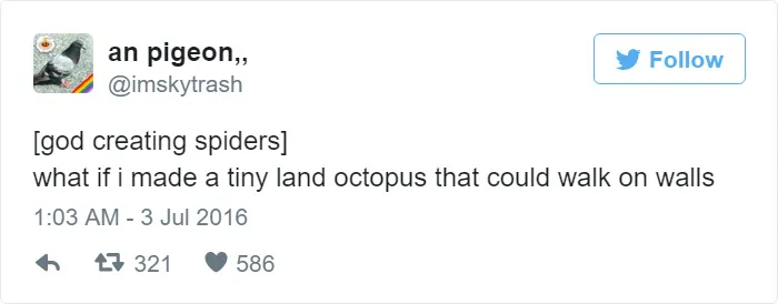 How Spiders Were Created