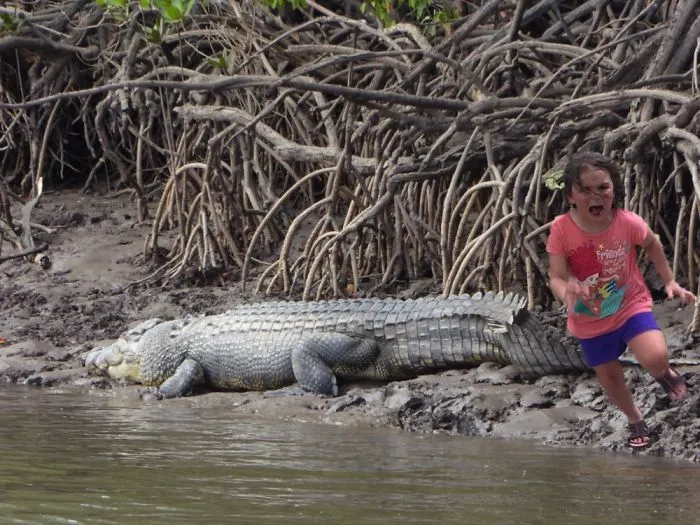 I Guess She Didn't Really Want Those Croc Skin Boots.