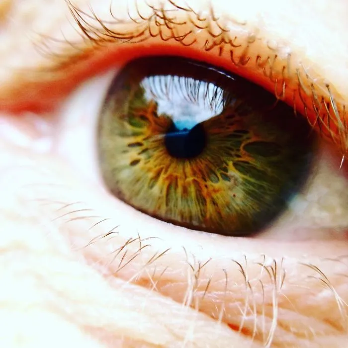 Eyes