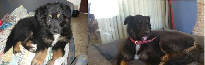 The First Day And The Last Day Of Didi...the Angel That Came Into My Life...forever In My Heart