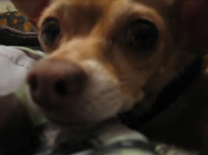 My Best Friend