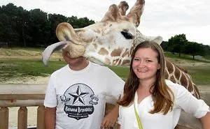 The Art Of Photobomb