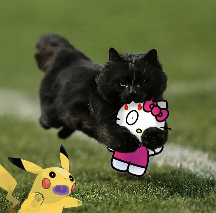 Goodbye Kitty