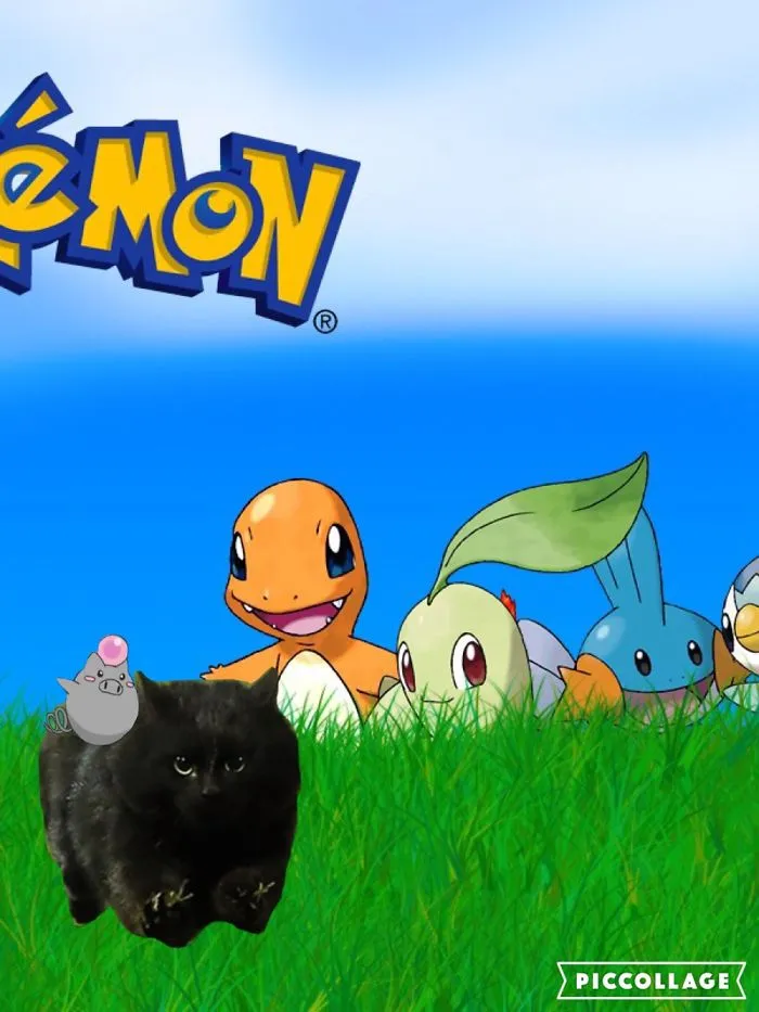 Poki-cat