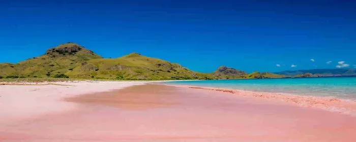 Lombok Pink Beach
