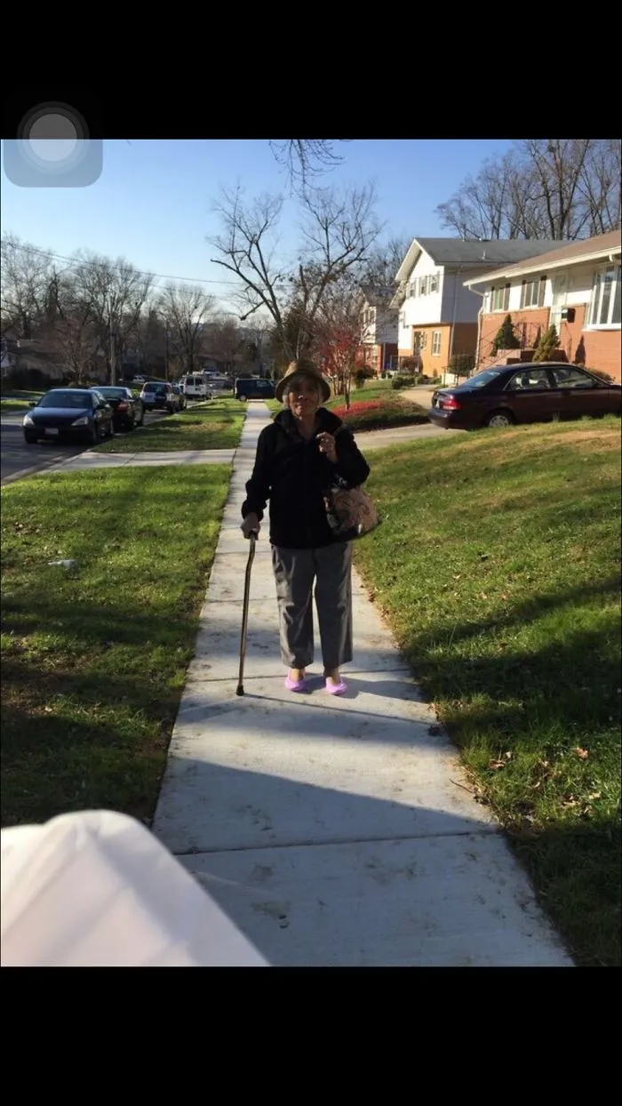 Walking With The Flying Cat