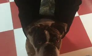 Jack Asking For Forgiveness