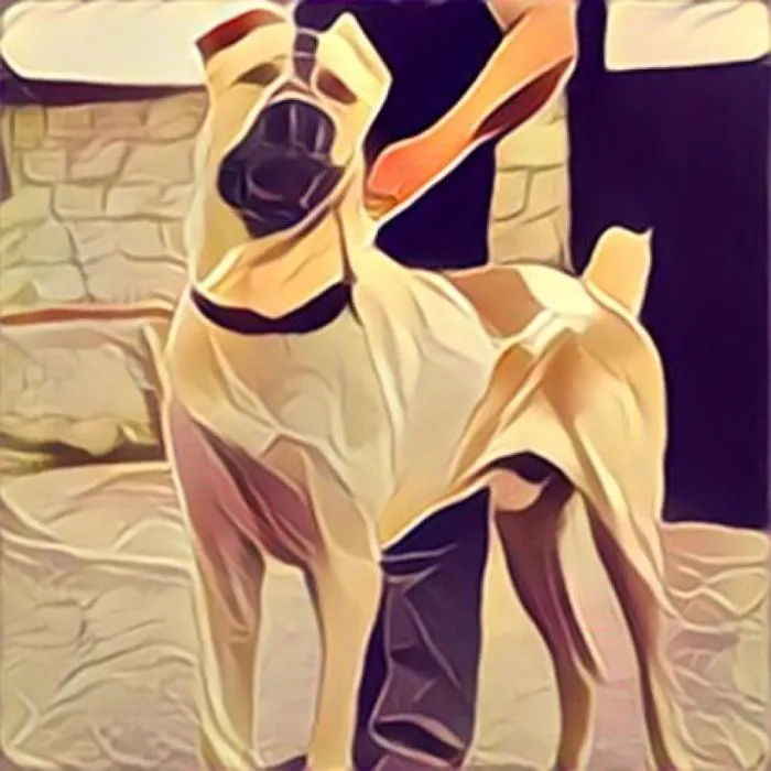 Prizma Art