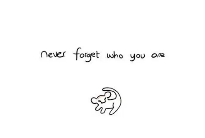 Story Of My Life