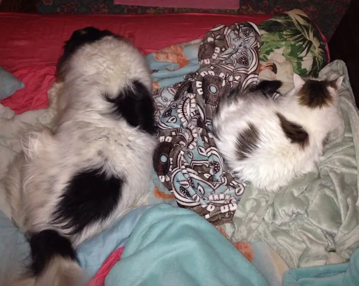Brother & Sister