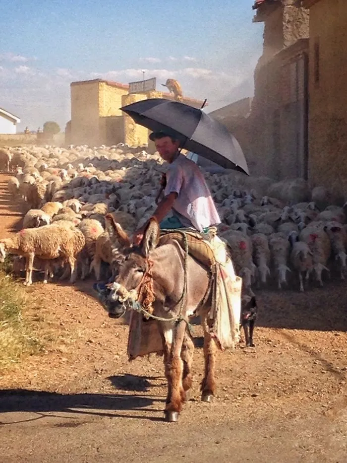 Camino Of Santiago 2