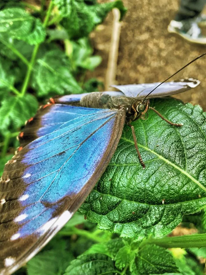 Nature