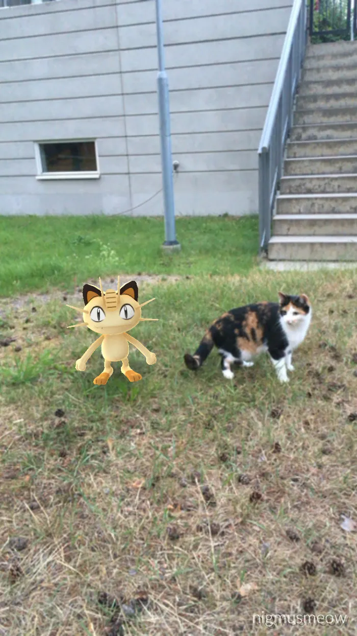 I Am The One True Meowth!