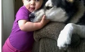 20+ Dogs And Their Adorable Baby Buddies