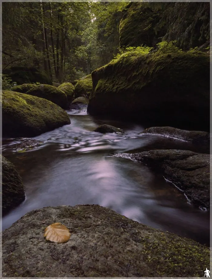 Nature