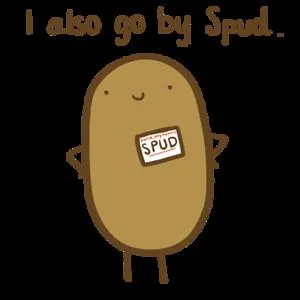 Potato